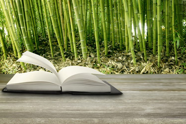book in bamboo grove